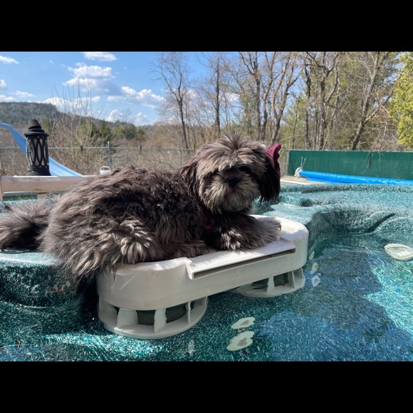 Meet your Posher, Gabriel - Picture 1 of 1